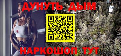 прущие грибы Гулькевичи
