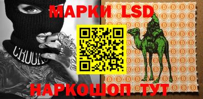 PSILOCYBIN Гудермес