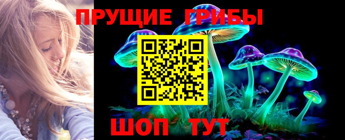 Галлюциногенные грибы GOLDEN TEACHER  Вход с VPN  Волгодонск 
